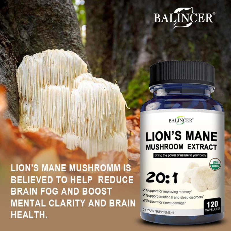 Organic Lion’s Mane Capsules