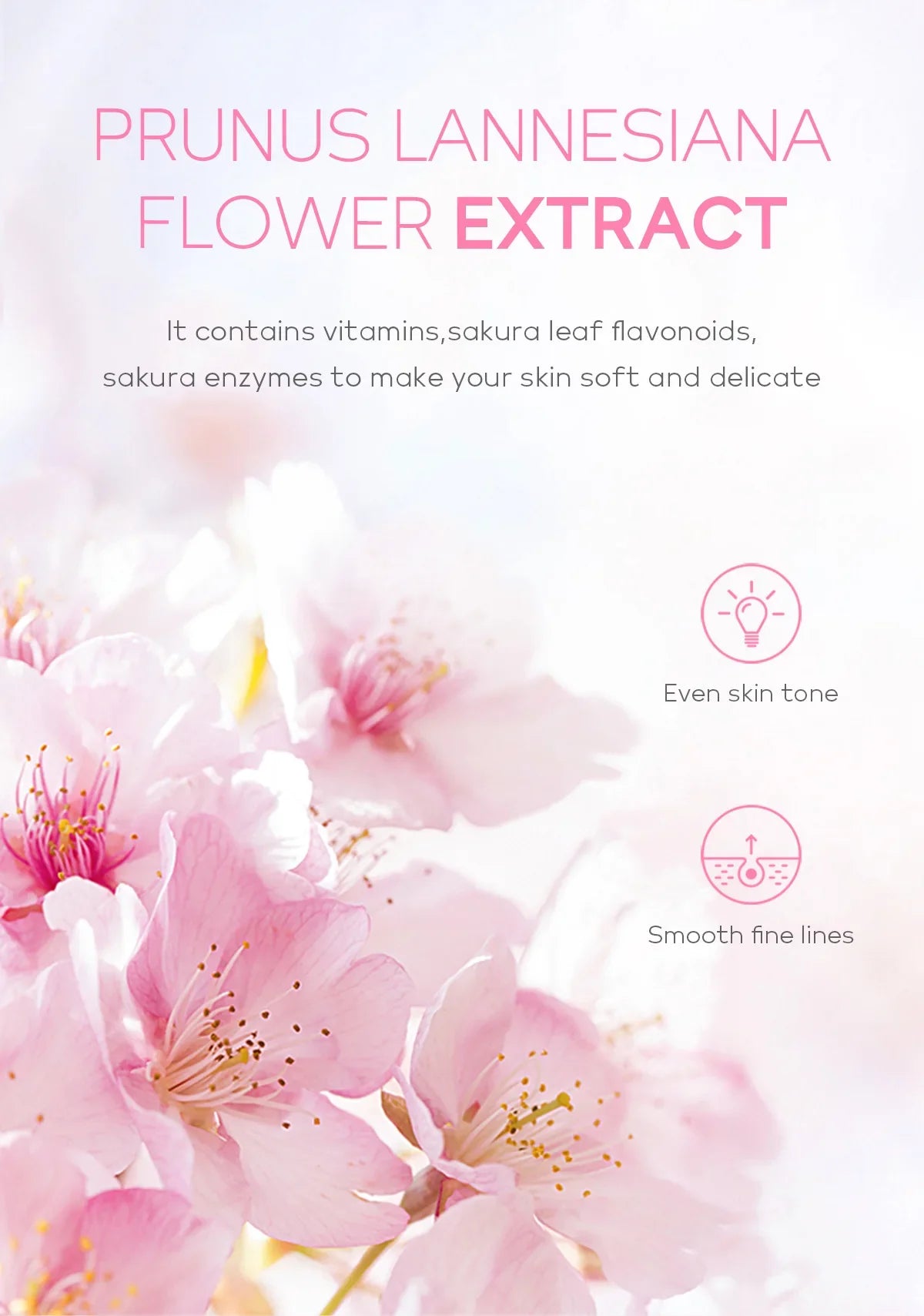 Cherry Blossom Peeling Gel